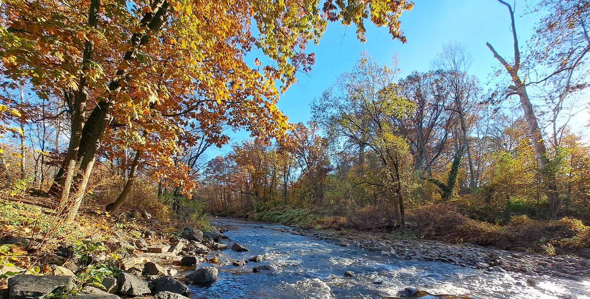 Image of a creek in fall under a blue sky, with some orange-leaved trees, some green, and some bare.
